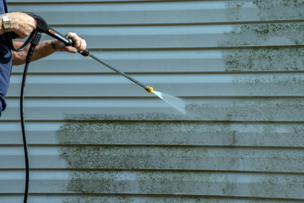 Best Sidewalk and Walkway Cleaning  in Woodstock, AL