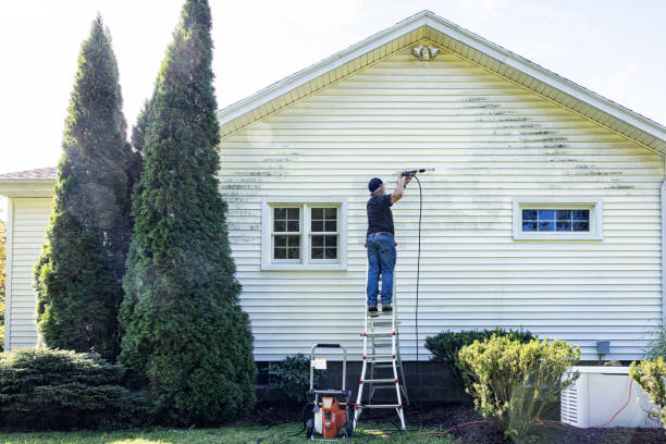 Best House Exterior Washing  in Woodstock, AL